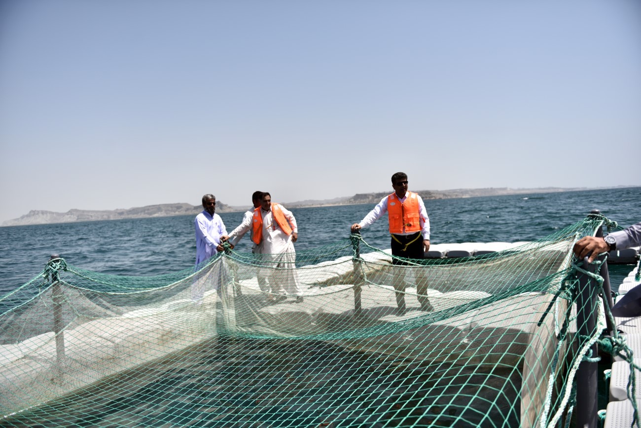 طرح احداث شهرک دریایی 5000 هکتاری پرورش آبزیان در قفس و سامانه های نوین