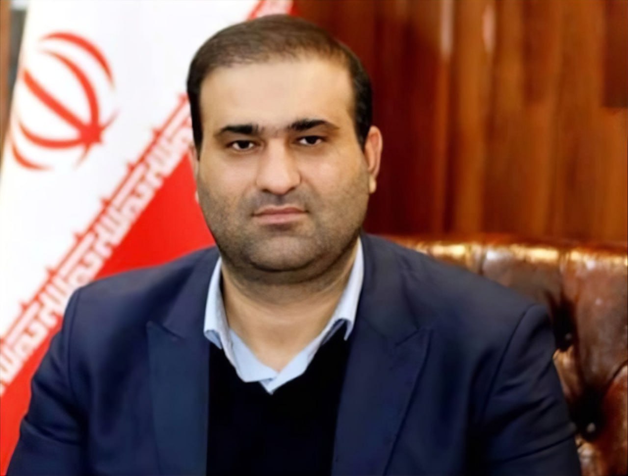 هادی مقدم زاده