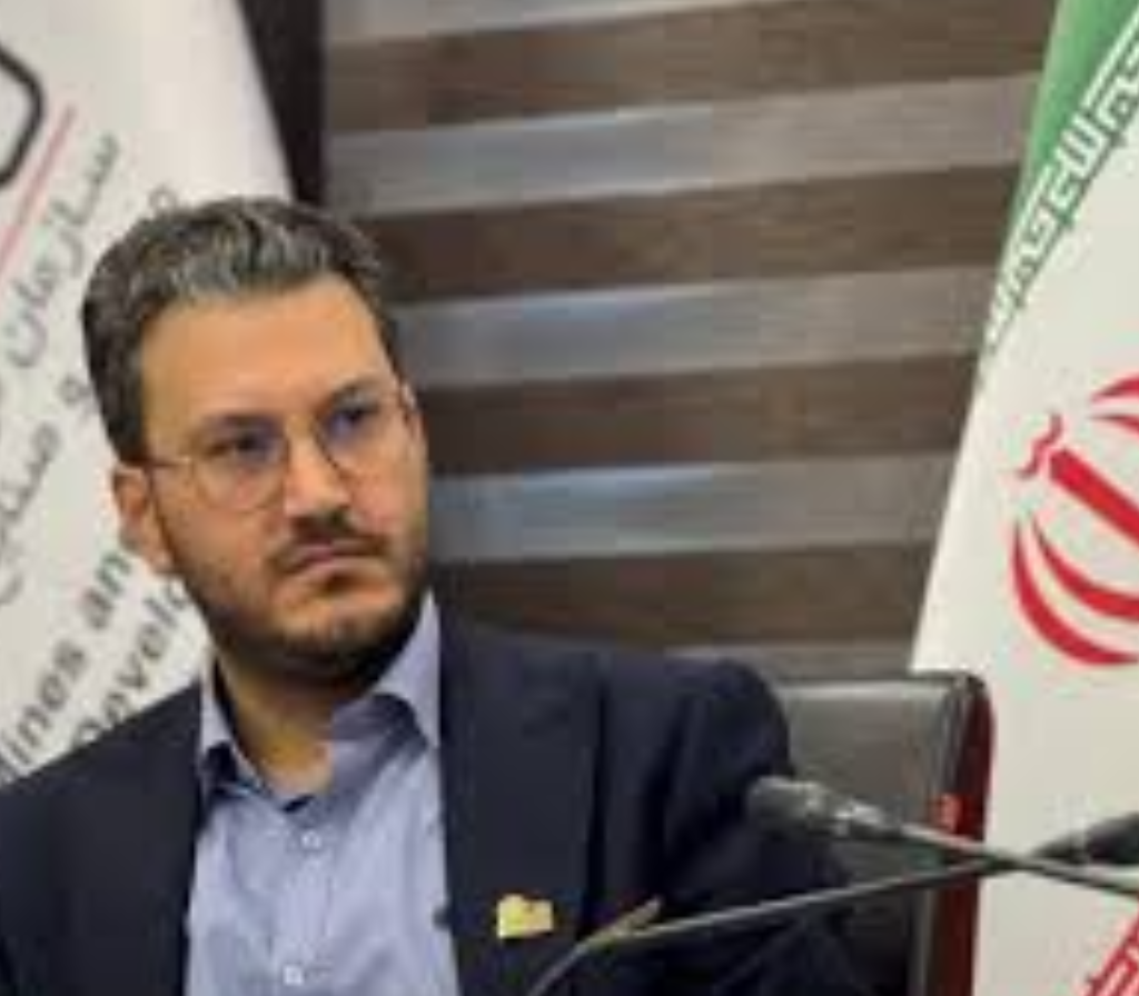 سید امیر برهانی نائینی